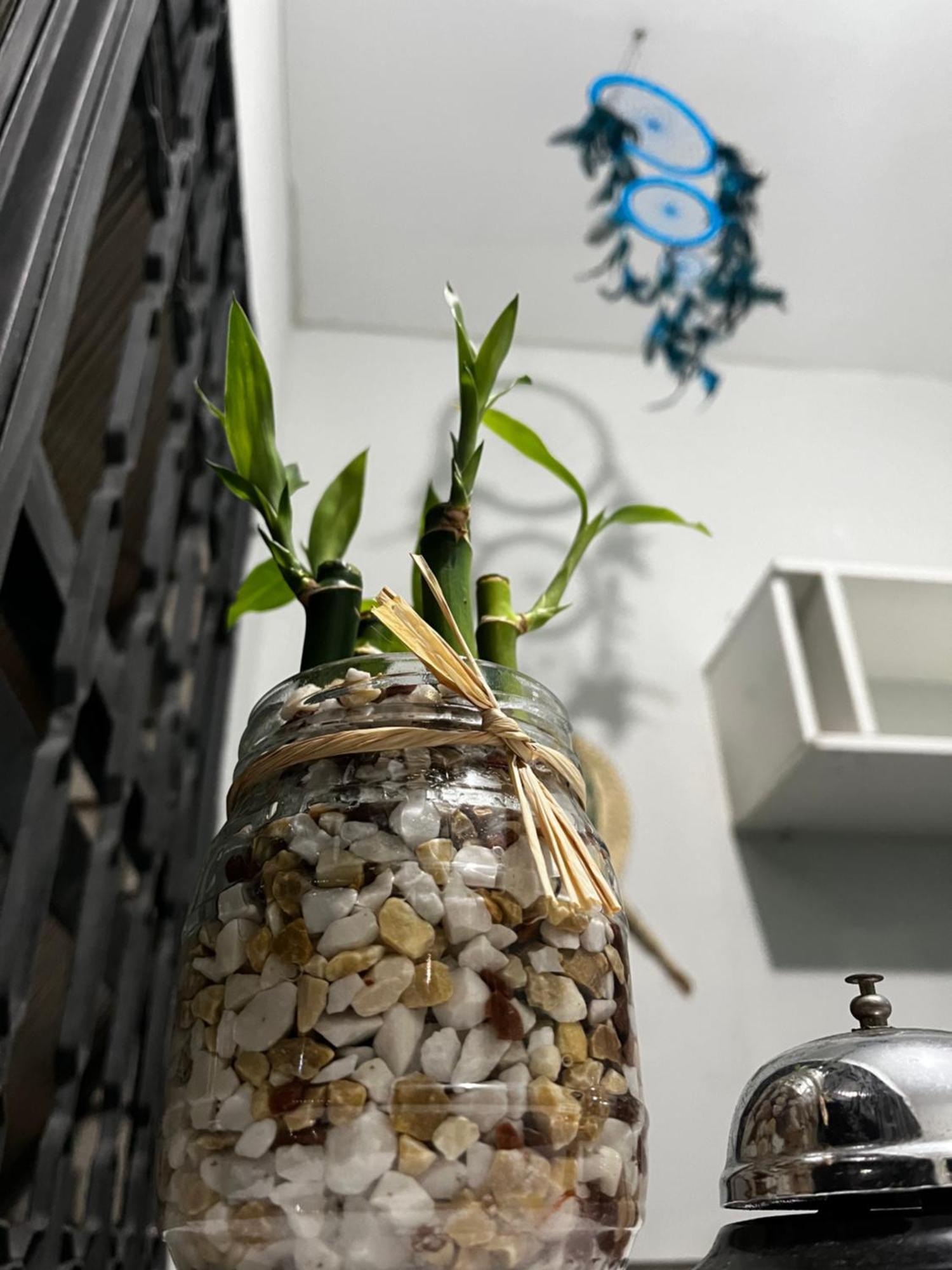 Center Hostel Sp São Paulo Zewnętrze zdjęcie